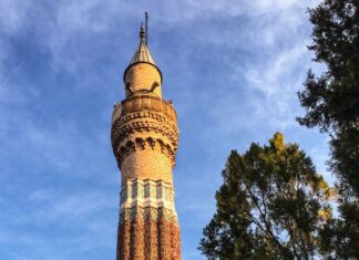 Tevfik Fikretin Âşiyanı